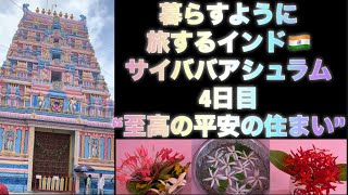 [理想の世界✨] 4日目 サイババアシュラム インド🇮🇳