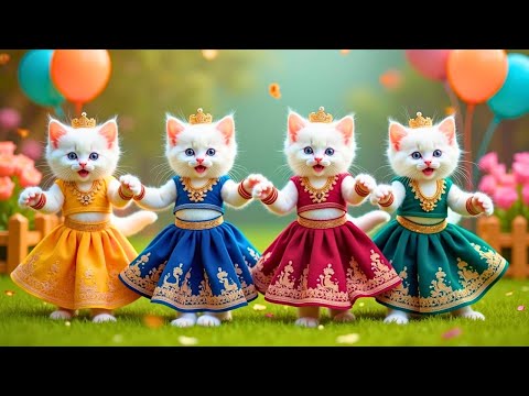 बिल्ली डांस | Cutest Cat videos funny dance🤣💃Videos for cats #funny #dancingcat #cat @Meow_cat99