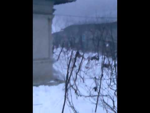 Cum bea stan din isvoare