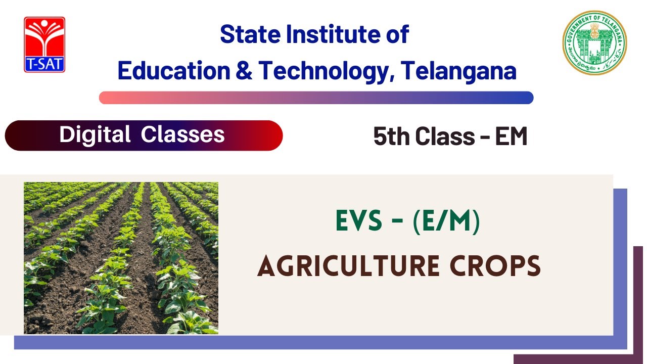5th Class (E/M) || EVS - AGRICULTURE CROPS (E/M)