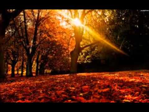 ... Gdybym mogł cofnąć czas .....