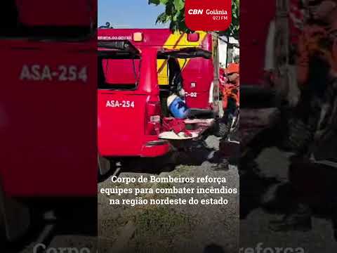 Três focos de incêndio mobilizam equipes do Corpo de Bombeiros na região nordeste de Goiás.