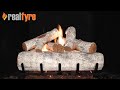 Real Fyre 24" White Birch Vented Natural Gas Logs Set with Electronic Pilot Kit