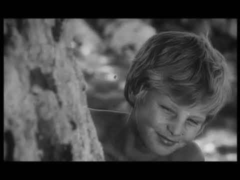 Sramno ljeto trailer