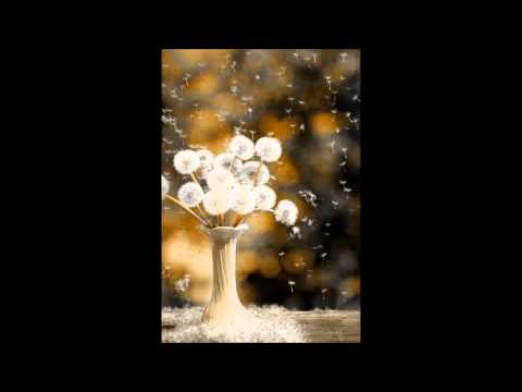 Rodrigo Sater - Ordem Natural Das Coisas