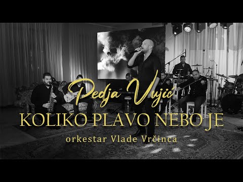 Pedja Vujic - Koliko plavo nebo je (orkestar Vlade Vrcinca)