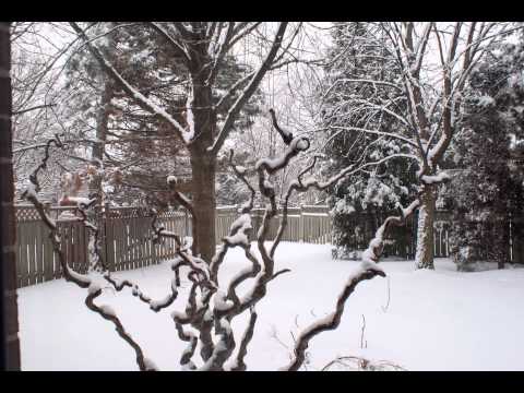 Timelapse 01/02/2014