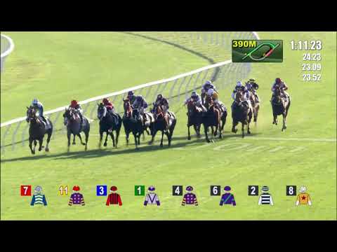 28/11/2021 (211) Silver Express - V Borges (The Chevalier Cup )