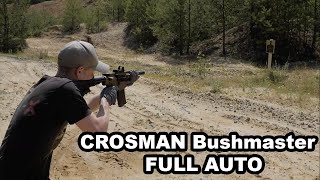 Crosman Bushmaster MPW