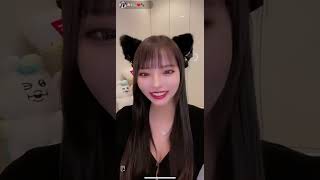#tiktokライブ #ライバー #着衣 #猫耳