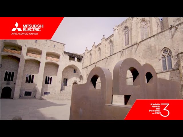 Miniatura del video Finalista Oro hasta 200kW