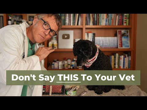 YouTube video about Ensuring Quality: Our Process to Vet Brands and Products