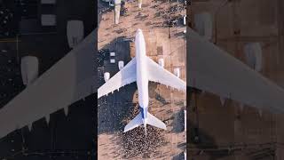 cercle-festival-2024