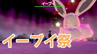 【色違いレイド】キョダイイーブイ祭り【ポケモン剣盾】