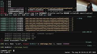 Cooking with Canaries - Program Security - CSE466 - Robert - 2025.08.28