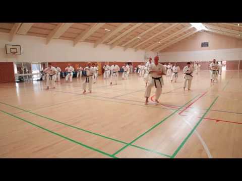 Saifa - Okinawan Goju-ryu karate