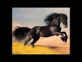 WILD HORSE ROD STWEART