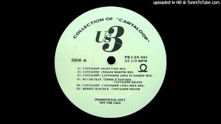 Us3~Cantaloop [Nellee Hooper Remix]