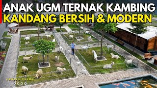 Download lagu ALUMNI UGM TERNAK 5 EKOR JADI 200 KAMBING DAN DOMBA DI KANDANG BERSIH MEWAH & MODERN | CERITA USAHA mp3