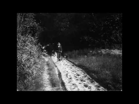 The Watermelon Patch (1905) Edison