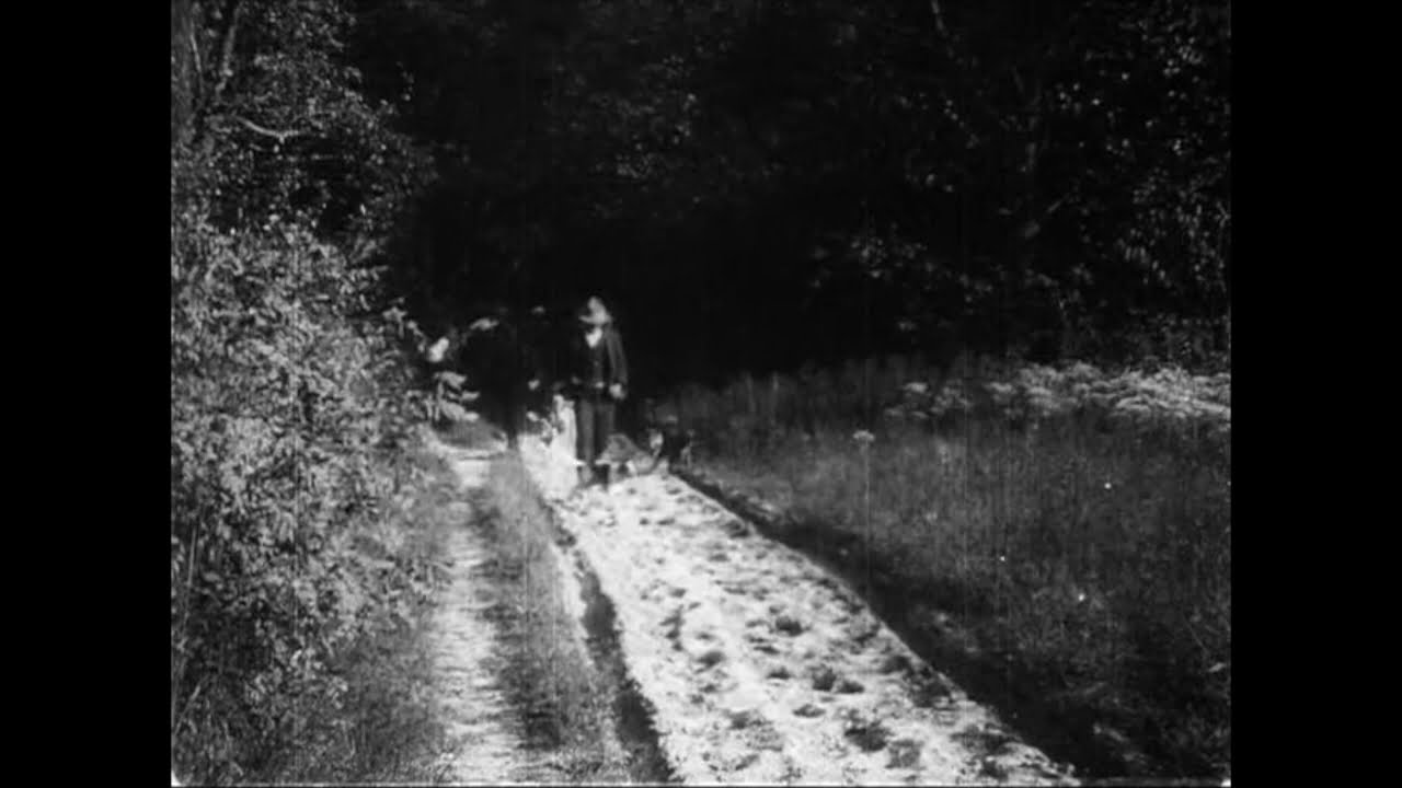 The Watermelon Patch (1905) Edison