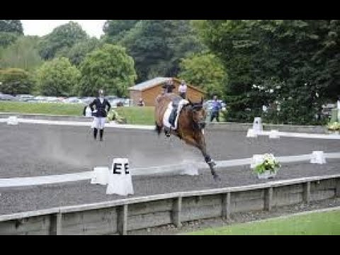 DRESSAGE FAIL pt2 *DIVERTENTE*