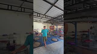 Download lagu Different from other farms, to come to the SJF farm you have to buy mp3