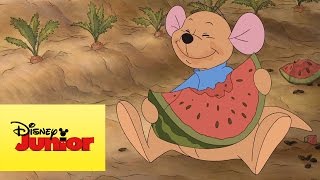 Mini aventuras de Winnie the Pooh - Rito y Lumpy