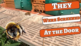 Robbing Screens and Entrance Reducers, Mid Summer & Why!