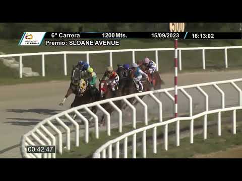 230915 C06 - RAW DEMON - HIPODROMO LAS PIEDRAS