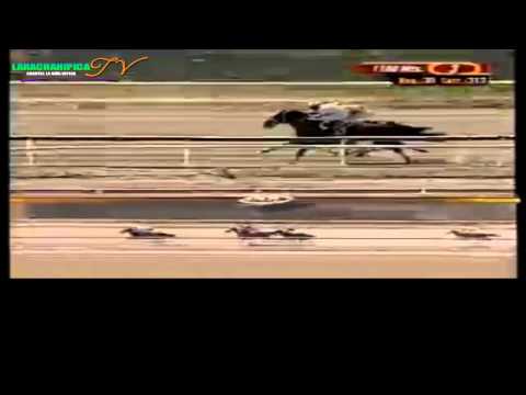 LA RINCONADA 3 CARRERA DOMINGO 20 DE ABRIL DEL 2014