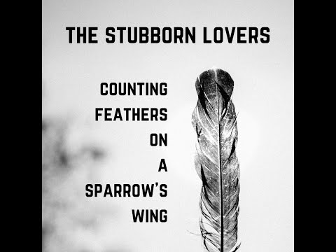 The Stubborn Lovers - Counting Feathers on a Sparrow's Wing (official lyric video)