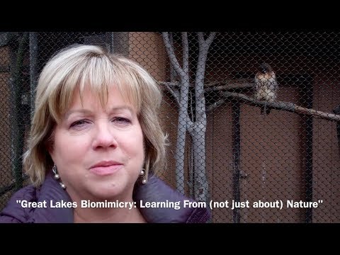 Great Lakes Biomimicry: Learning From (not just about) Nature