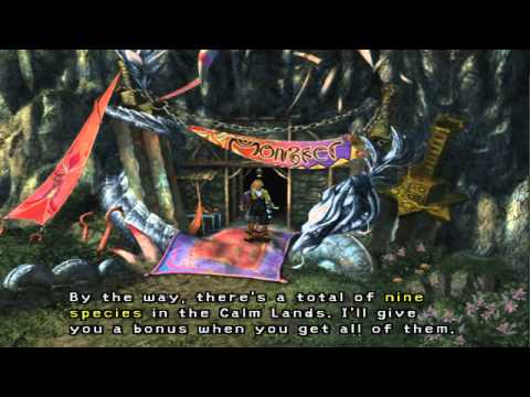 Final Fantasy X - Walkthrough [Part 29 - Chocobo Training / Defender X]