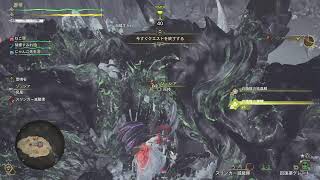 師匠と遊ぶ