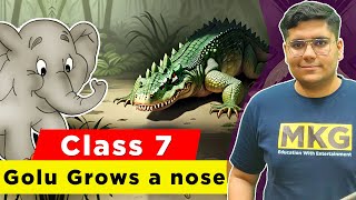 Class 7 English Chapter 3 - Golu Grows A nose | Class 7 Golu Grows A nose - Full Chapter Explanation
