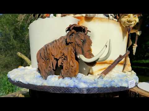 Kniha - Svět výjimečných dortů Lucky Charvátové #crazycakes