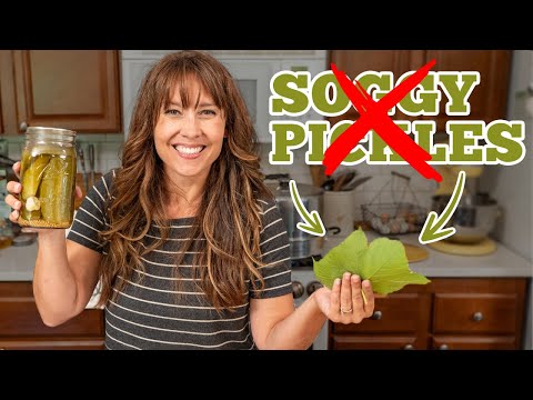 The SECRET to Crunchy Canned Pickles (No More SOGGY Pickles!)