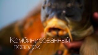 Составной поводок из флюрокарбона
