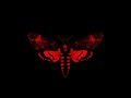 Lil Wayne-Trigger Finger(without Soulja Boy)