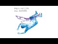 Piers Faccini - All Aboard ft. Ben Harper & Abdelkebir Merchane