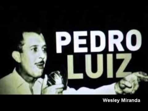 Narração do "Gol de Placa" por Pedro Luiz - Fluminense 1x3 Santos