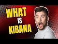 What Is Kibana What Is Kibana Used For