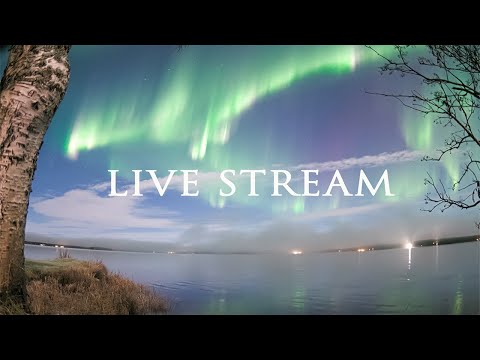 Northern Lights thumbnail