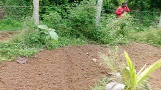 🙏25 Gunte  Agriculture Farm Landa For Sale Malavalli Near 🛣️ 🙏