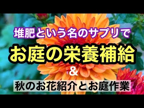 どの葉を堆肥に使用しますか?庭を美しくするためにそれらをリサイクルする方法は次のとおりです。  庭園