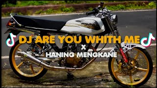 Download lagu DJ ARE YOU WHITH ME X HANING MENGKANE VIRAL TIKTOK mp3