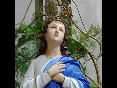 Capela Nossa Senhora da Conceição - Junco, Casinhas/PE