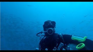 An inspiring video about what it is like to become a technical diver with Scuba Legends