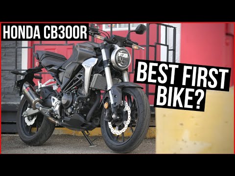 Honda CB300R Review: Beginner Bike Test (Compared to MT-03 & Z400)